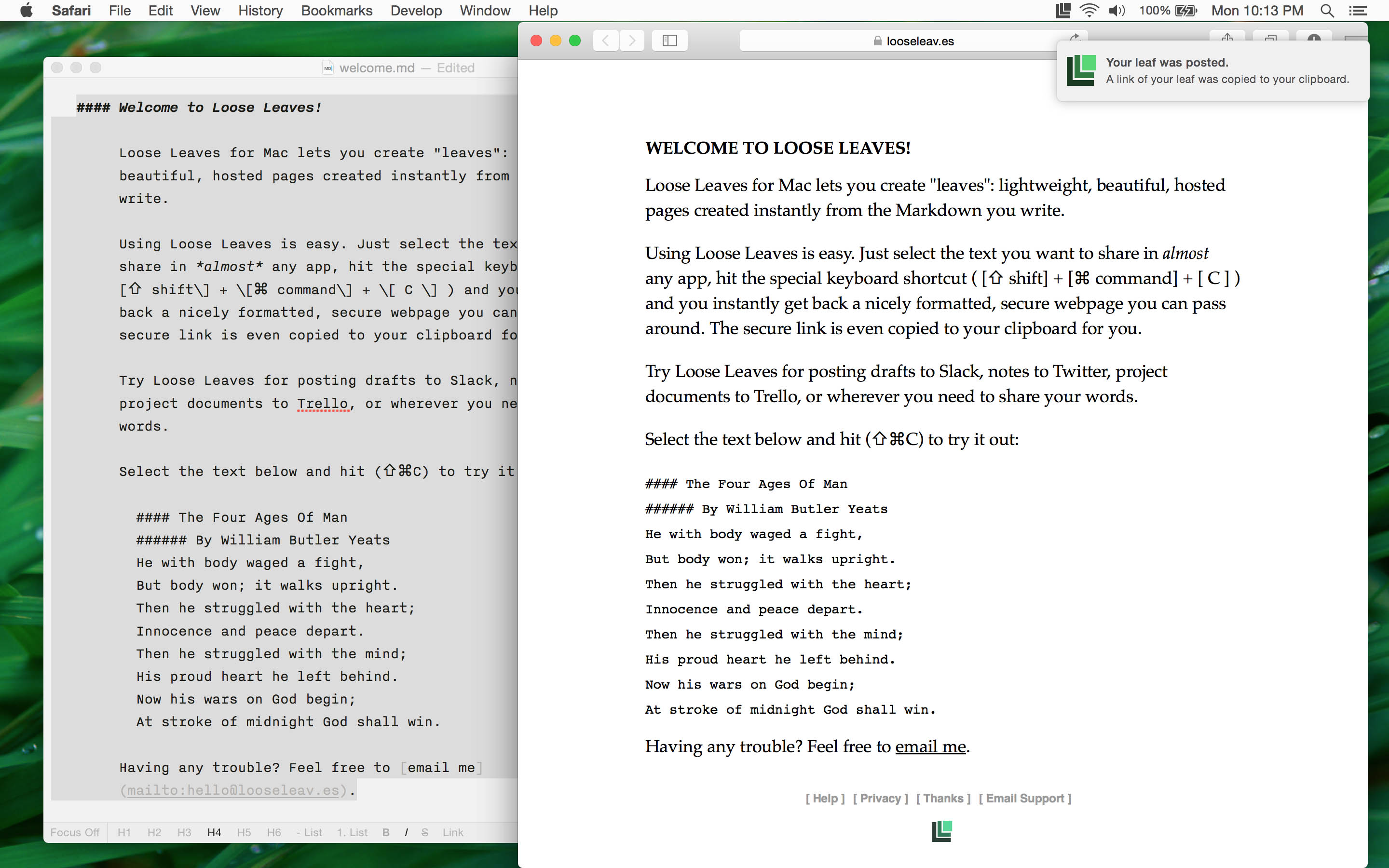 A screenshot of Loose Leaves publishing Markdown text to the web